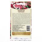 Семена цветов Тысячелистник "Колорадо", ц/п, смесь, 0,05 г - Фото 2