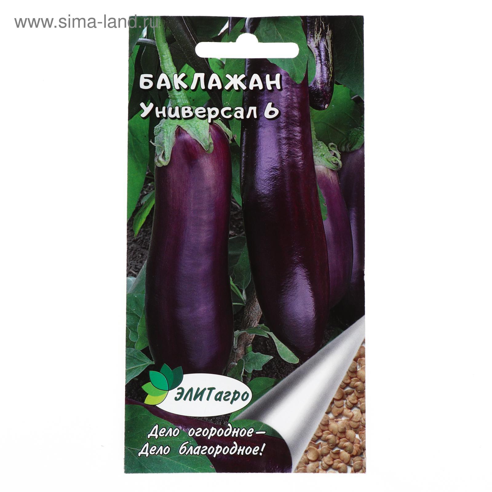 Баклажан универсал описание сорта фото Баклажан универсал описание сорта фото