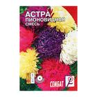 Семена цветов Астра пионовидная, смесь, 0.2 г - Фото 1