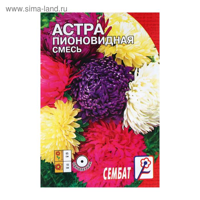 Семена цветов Астра пионовидная, смесь, 0.2 г - Фото 1