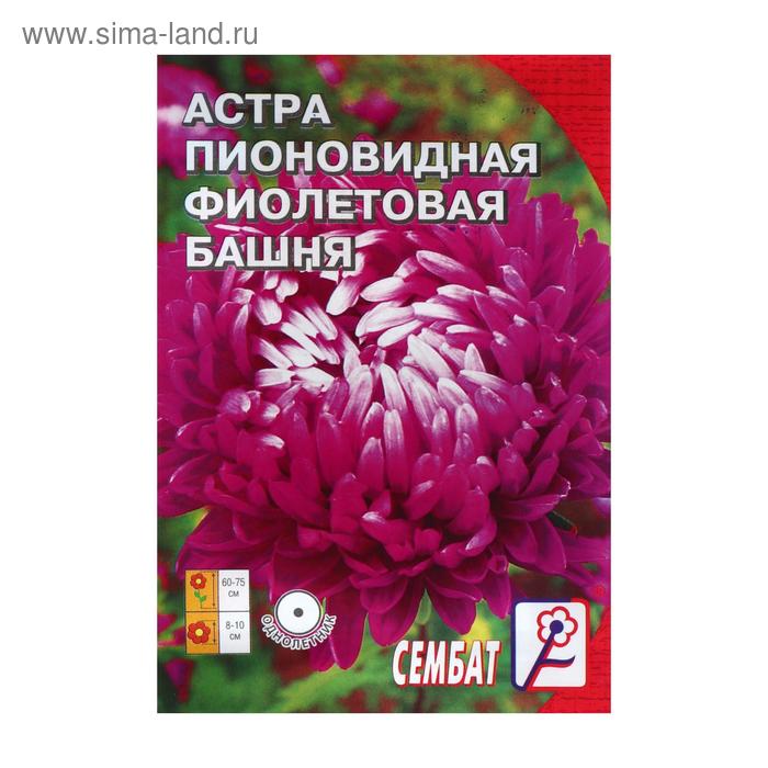 Семена цветов Астра пионовидная "Фиолетовая Башня",  0.2 г - Фото 1