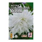 Семена цветов Астра "Страусово перо", белая, 0.2 г - Фото 1