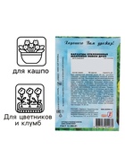 Семена цветов Бархатцы отклоненные  "Лемон Дроп", махровые,  0,2 г - Фото 3