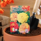 Семена цветов Бархатцы прямостоячие, махровая смесь, 0.3 г - Фото 3