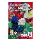 Семена цветов Душистый Горошек "Роял Спенсер", 0,5 г - Фото 1