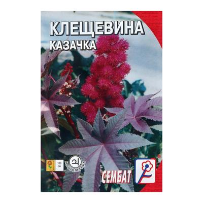 Семена цветов клещевина «Казачка», 2 шт.