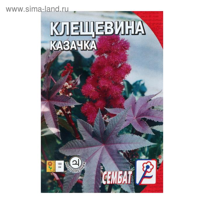 Семена цветов клещевина «Казачка», 2 шт. - Фото 1