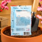 Семена цветов клещевина «Казачка», 2 шт. - Фото 4