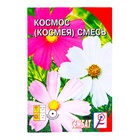 Семена цветов Космос смесь, космея, 0.1 г - Фото 1