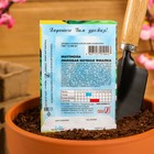 Семена Цветов Маттиола «Лиловая», 0.5 г, «Сембат» - Фото 4