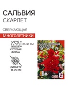 Семена цветов Сальвия сверкающая "Скарлет", 0,05 г - Фото 3