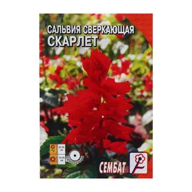 Семена цветов Сальвия сверкающая "Скарлет",  0,05 г 5464144