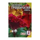 Семена цветов Целозия Гребенчатая смесь 0,1 г - фото 11885830