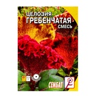 Семена цветов Целозия Гребенчатая смесь 0,1 г - Фото 1
