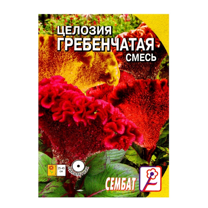 Семена цветов Целозия Гребенчатая смесь 0,1 г - Фото 1
