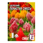 Семена цветов Целозия Перистая смесь 0,1 г - Фото 1