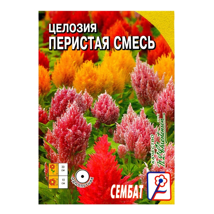 Семена цветов Целозия Перистая смесь 0,1 г - Фото 1