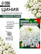 Семена цветов Цинния «Полярный медведь», 0.3 г - Фото 1