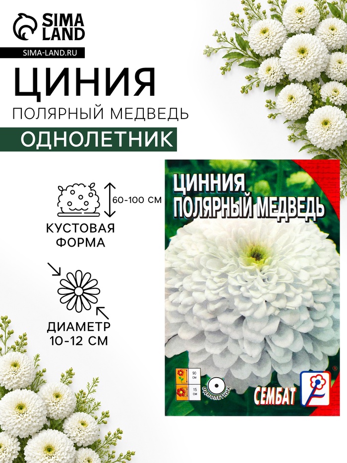 Семена цветов Цинния «Полярный медведь», 0.3 г - Фото 1