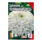 Семена цветов Цинния «Полярный медведь», 0.3 г - Фото 5