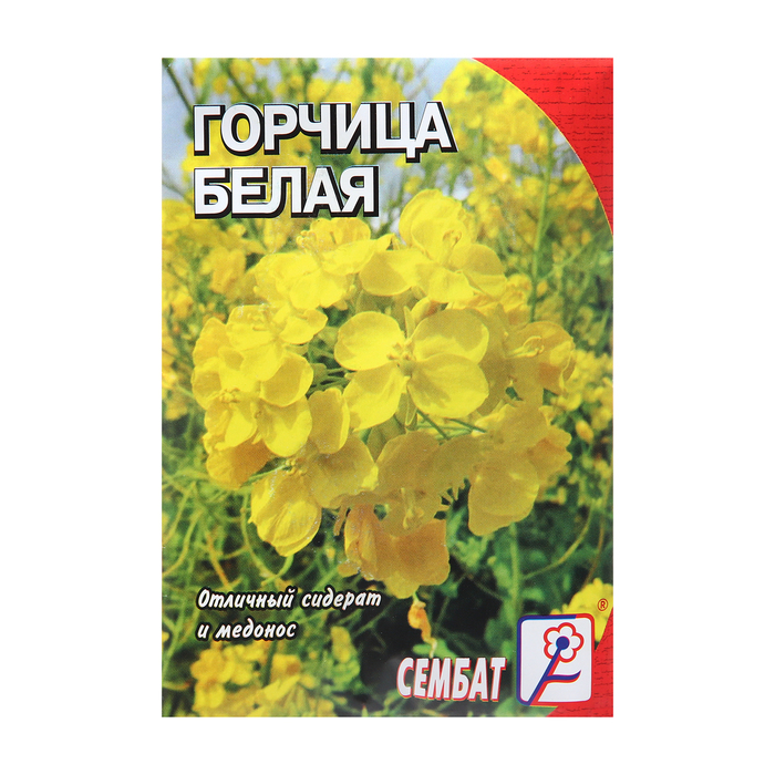 Семена Горчица Белая 20 г, «Сембат» - Фото 1