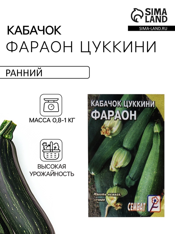 Семена Кабачок цукини «Фараон», 2 г, «Сембат» - Фото 1