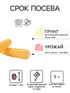 Семена Кукуруза «Бон Аппетито», 5 г, «Сембат» - Фото 2