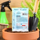 Семена Морковь "Каротель", 1 г - Фото 3