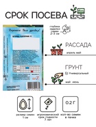 Семена Огурец "Голубчик", F1, 0,2 г - Фото 2