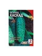 Семена Огурец "Каскад", 0,5 г - Фото 5