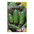 Семена Огурец "Сокол", F1, 0,2 г - Фото 1