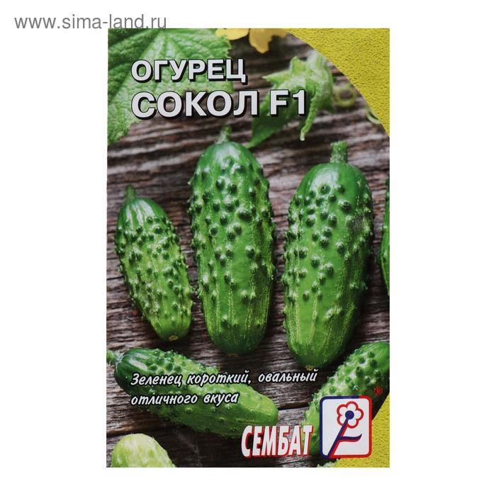 Семена Огурец "Сокол", F1, 0,2 г - Фото 1