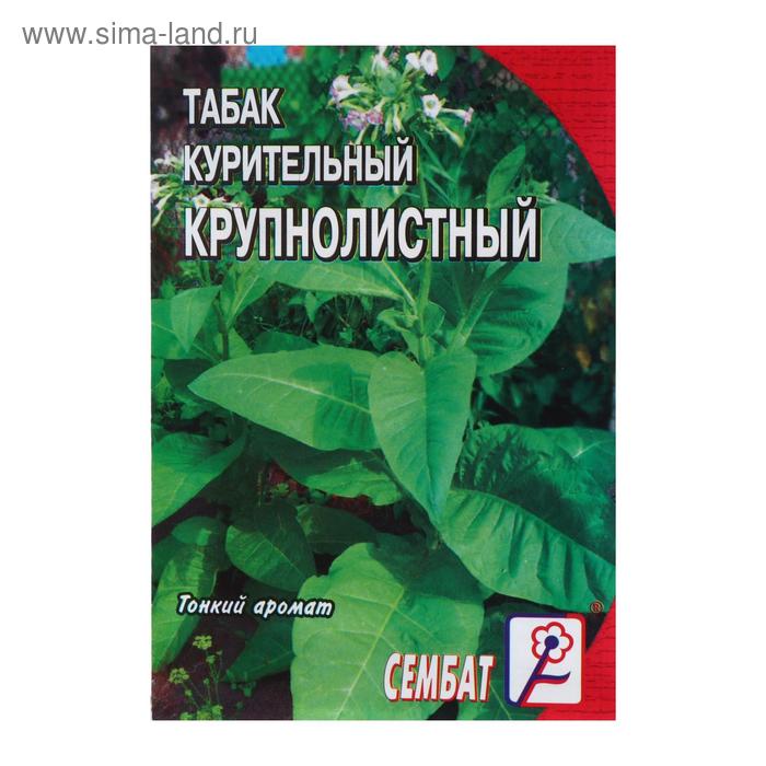 Семена Табак  "Крупнолистный  512",  0.01 г - Фото 1