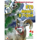 Мир живой природы. Кто живет в горах. Книга с наклейками - фото 296034125