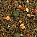 Корм «Пижон» для шиншилл, с фруктами, 400 г - Фото 3