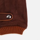 Перчатки мужские, безразмерные, с утеплителем, цвет коричневый 5161915