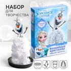 Выращивание кристаллов «Принцесса», набор для опытов - Фото 1