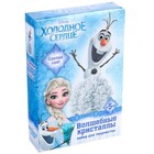 Выращивание кристаллов «Принцесса», набор для опытов - Фото 4