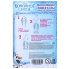 Выращивание кристаллов «Принцесса», набор для опытов - Фото 4