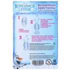 Выращивание кристаллов «Принцесса», набор для опытов - Фото 2