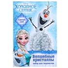 Выращивание кристаллов «Принцесса», набор для опытов - Фото 2