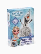 Выращивание кристаллов «Принцесса», набор для опытов - Фото 7