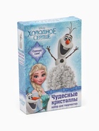 Выращивание кристаллов «Принцесса», набор для опытов - Фото 7