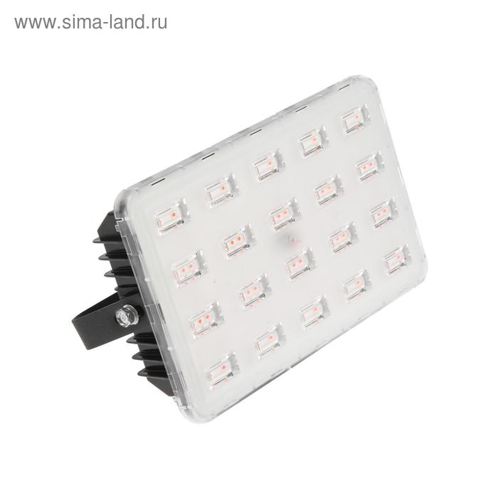 Фитопрожектор для растений Luazon, светодиодный, 50 Вт, IP65, 220 В, мультиспектральный - Фото 1