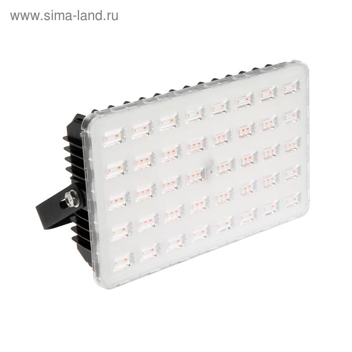 Фитопрожектор для растений Luazon, светодиодный, 100 Вт, IP65, 220 В, мультиспектральный - Фото 1