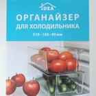 Органайзер для холодильника, 31×16×9 см, цвет прозрачный - фото 6354314