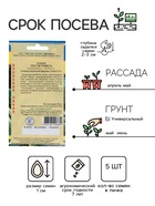 Семена Огурец "Тести Грин" F1, 5 шт - Фото 2