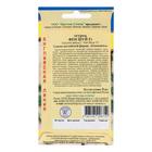 Семена Огурец "Фен Шуй" F1, 5 шт - Фото 2