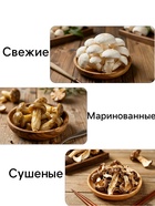 Мицелий грибов Белый гриб, 60 мл, «Престиж семена» 5454238