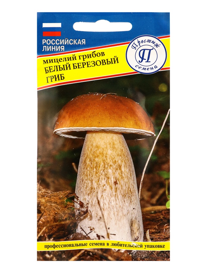 Мицелий грибов Белый гриб «Берёзовый», 60 мл, «Престиж семена» - Фото 1